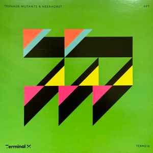 Teenage Mutants & Heerhorst – PPT