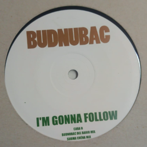 Budnubac – I'm Gonna Follow
