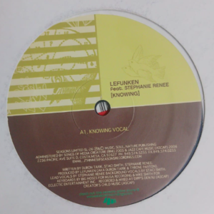 Lefunken Feat. Stephanie Renee – Knowing (Deep House)
